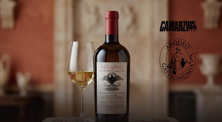 Botella y copa del vino Paladio sobre un mosaico romano